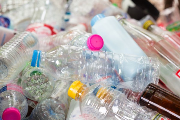 An assortment of plastic bottle litter