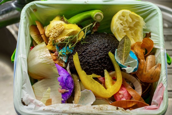 A full compost kitchen pail with various discard vegetables - avocado skin, juiced lemon, onion peel, bell pepper core, etc.