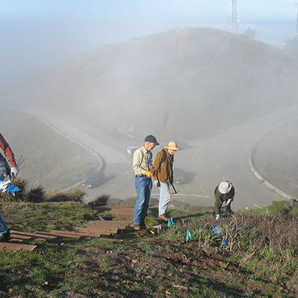 SFE staff and volunteers walk up twin peak hills in San Francisco to tend to the natural environment