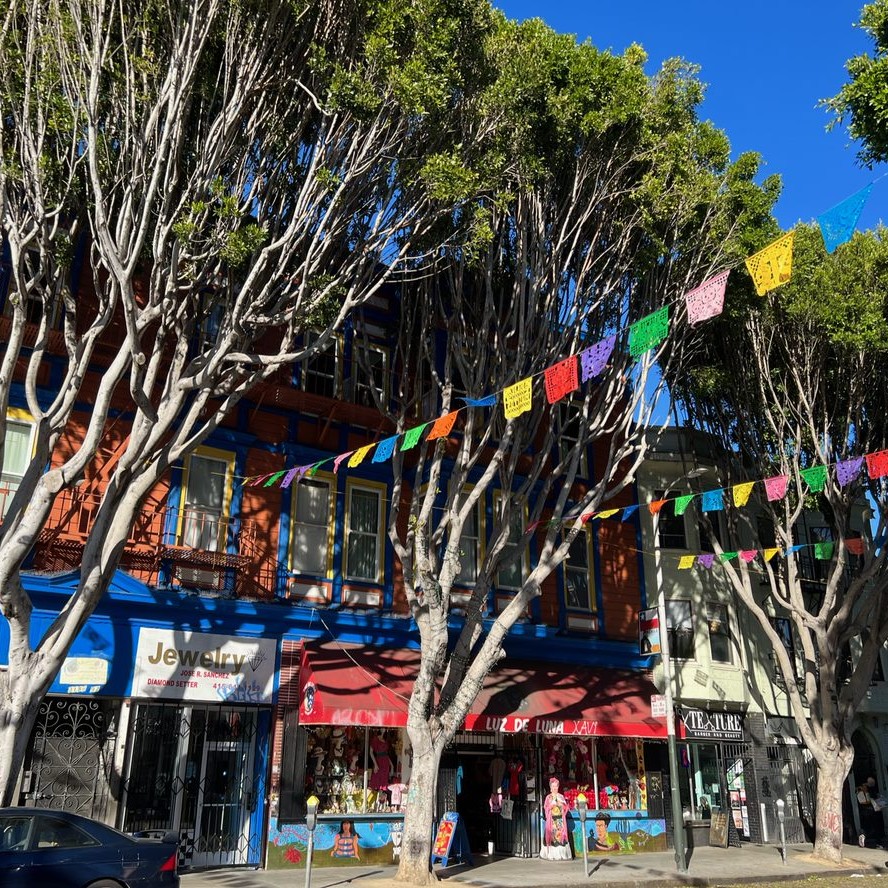 Trees along the sidewalk in San Francisco's Mission neighborhood