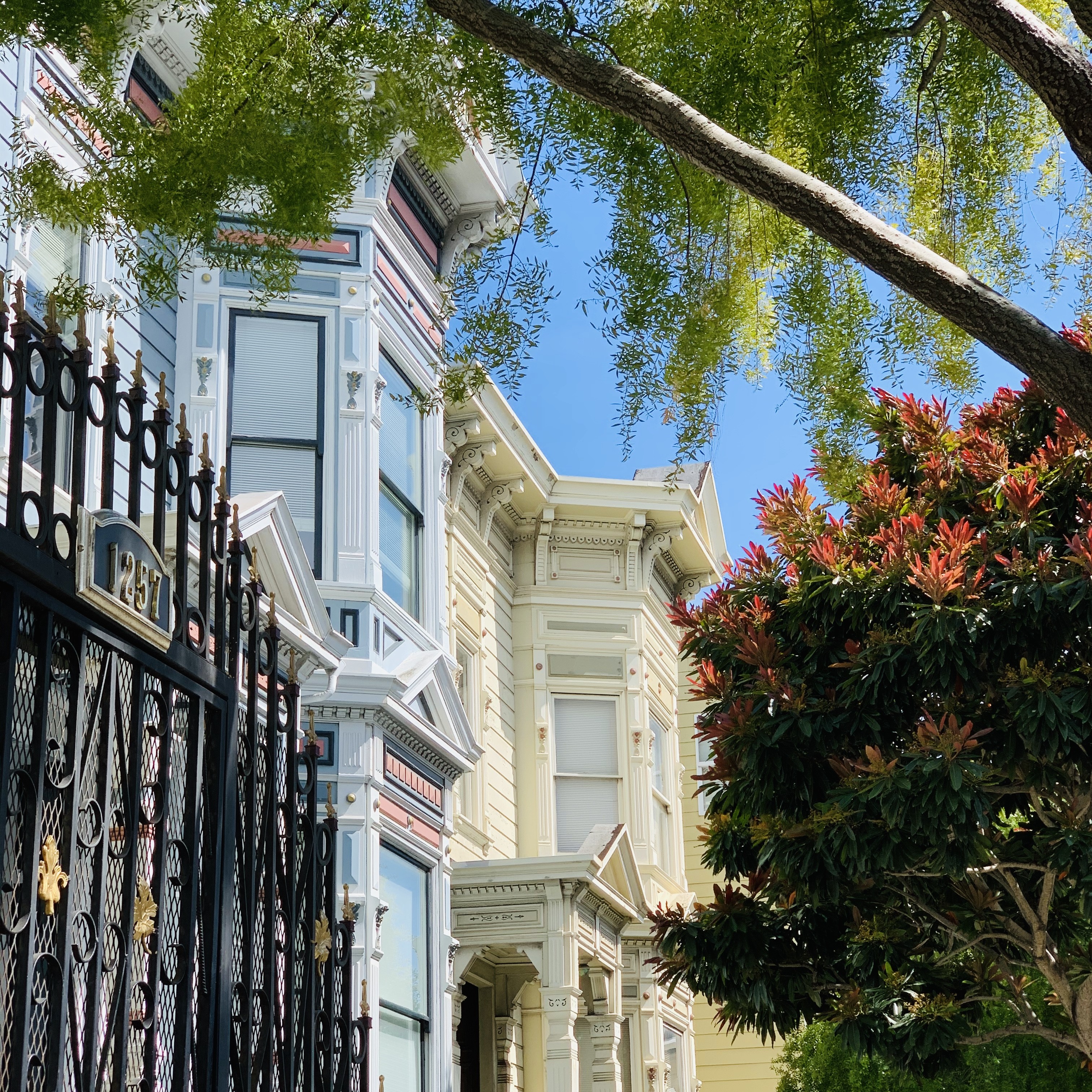 Looking up at Victorian style houses with trees lining the street.