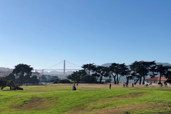 View of the Golden Gate Bridge from the Marina overlooking the grassy area and some trees.